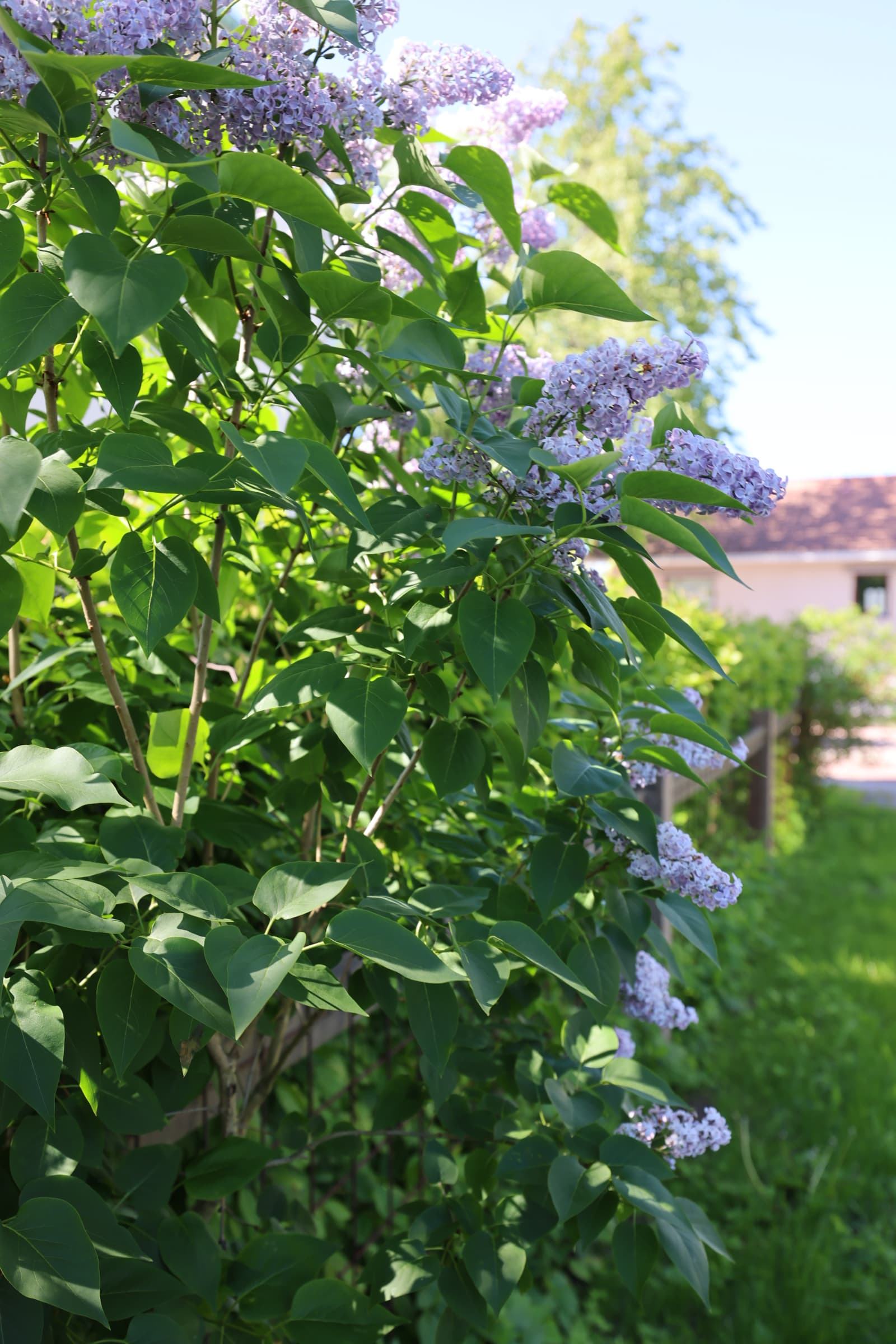 Skillnadsgatan 17, Image 9 of 17